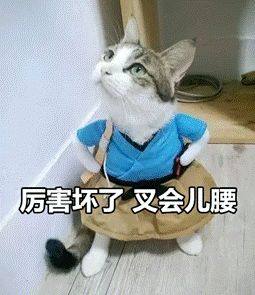 如何完美解决困扰10亿人的拉屎溅水花问题