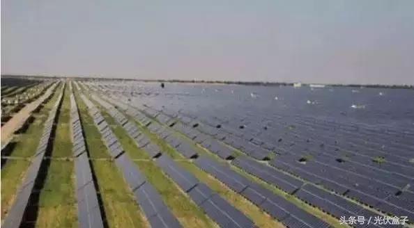 光伏农业基础知识,光伏农业项目经典案例