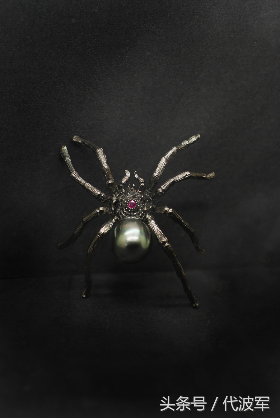 蜘蛛吊财神到有道理吗,吊蜘蛛预示什么