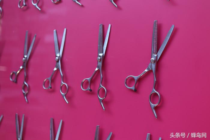 超高像素微距镜头,性价比超高的500万微距镜头