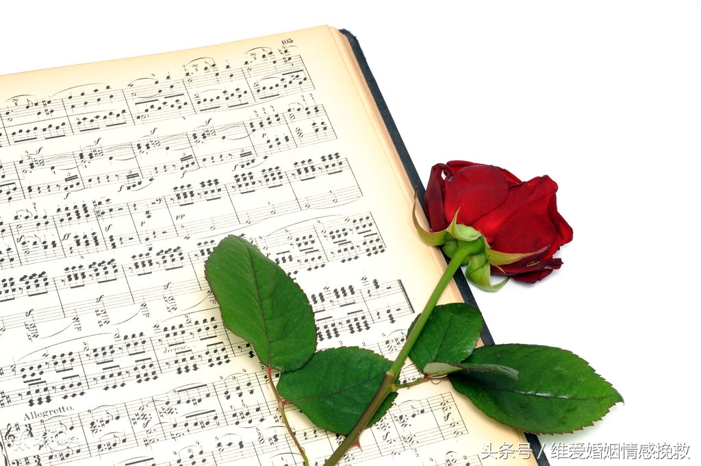 不知道怎么表白的句子,怎么求婚最不可思议