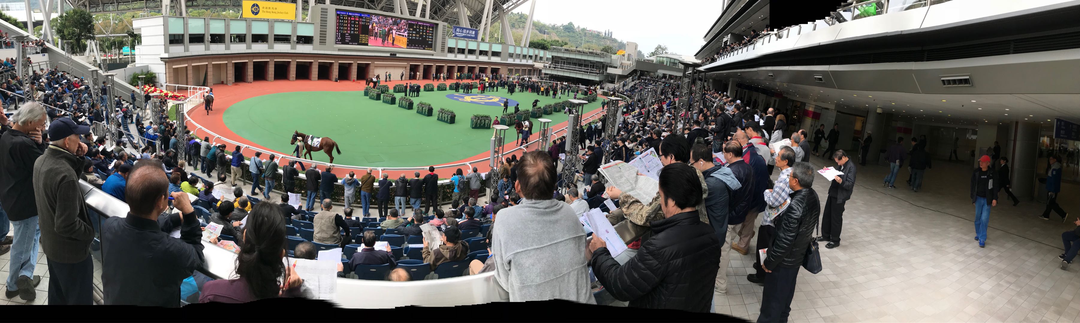 香港游记之湾仔,香港旅游所见所闻