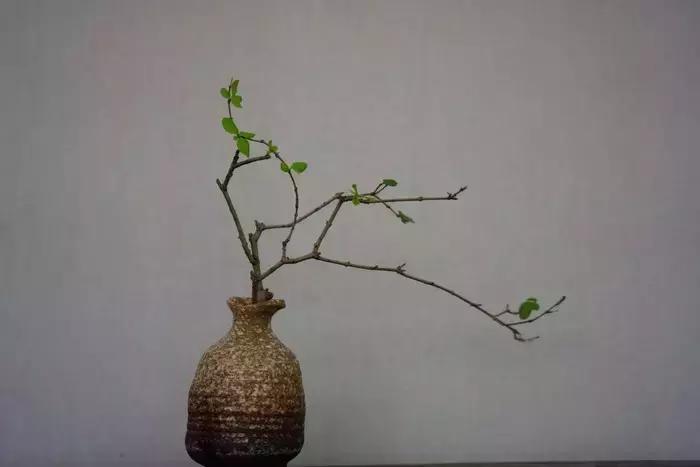 100句古今绝美句子,二十四史经典佳句30则附译文