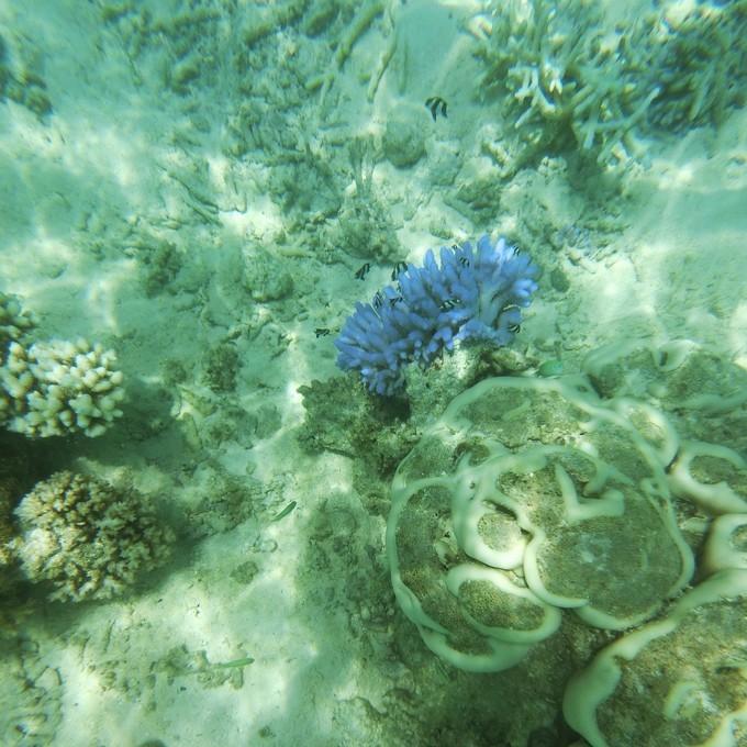 蜜月马尔代夫选岛攻略,马尔代夫情侣游