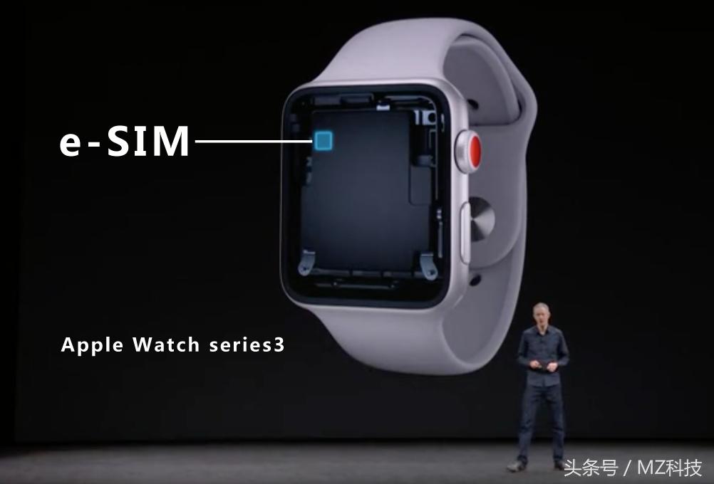 苹果手机双卡双待最新款价格,苹果最新款双卡双待的手机