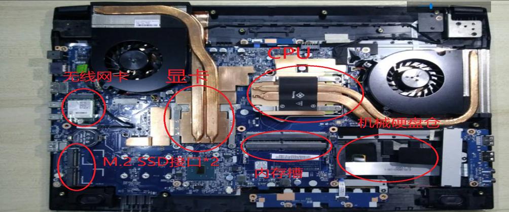 炫龙毁灭者kp拆机,炫龙毁灭者kp评测