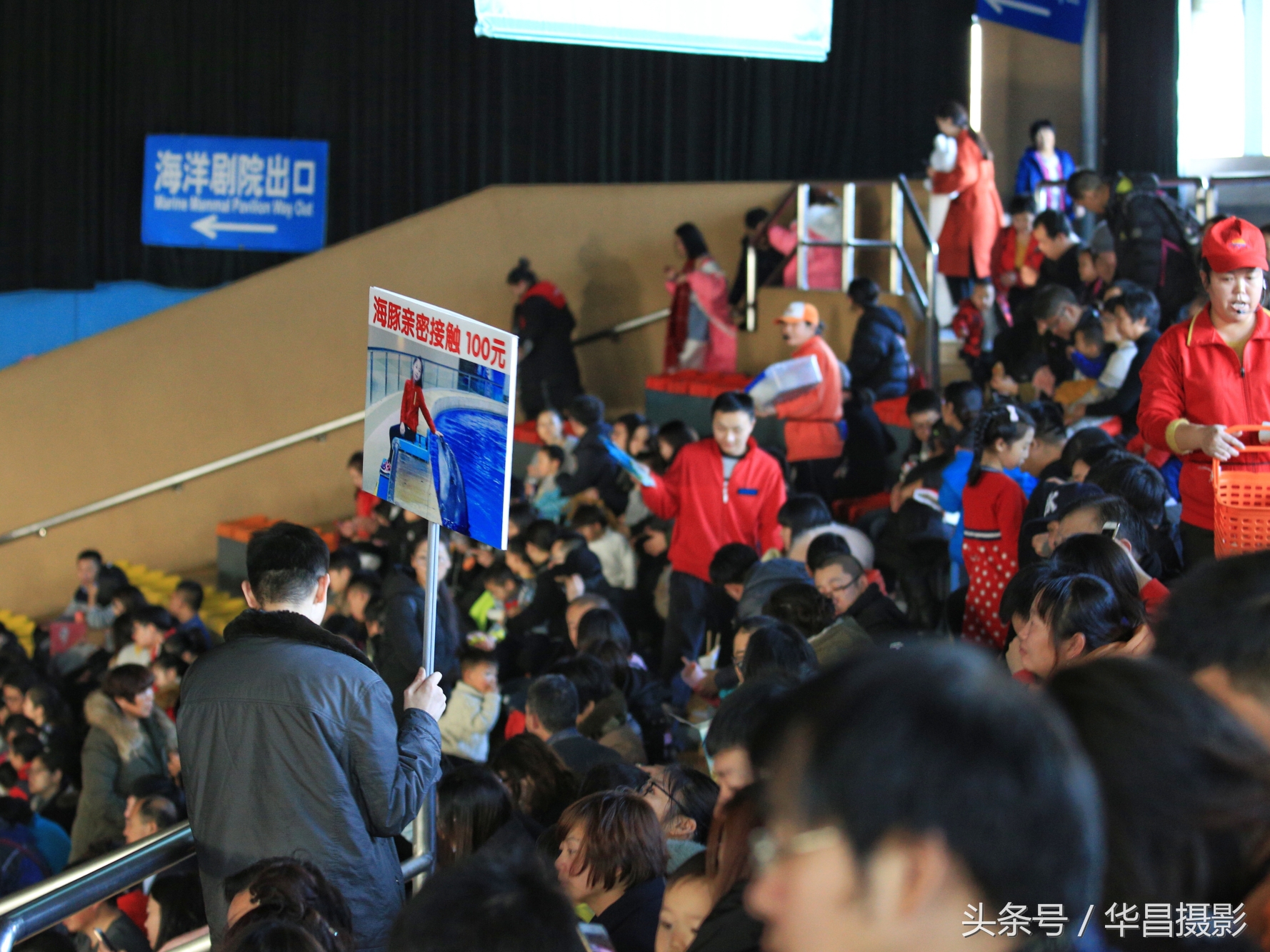 北京海洋馆海豚,北京海洋馆海豚表演时间表