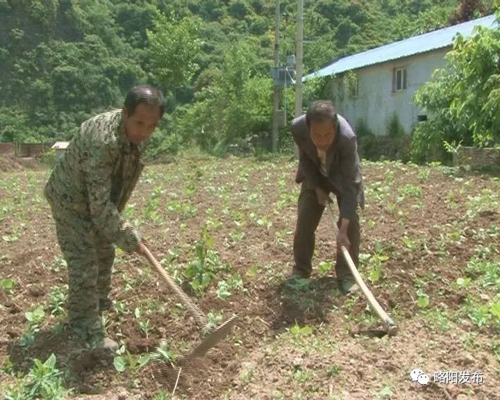 略阳县电商扶贫,略阳电商新天地