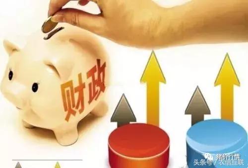 猪业的现状与发展趋势,猪业最新消息