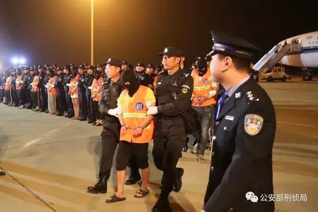 最新打击的网络诈骗,互联网诈骗案最新消息