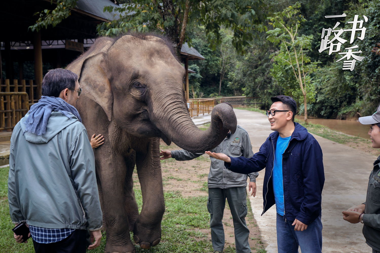 许戈辉访谈窦文涛早期,马未都窦文涛三人行完整版
