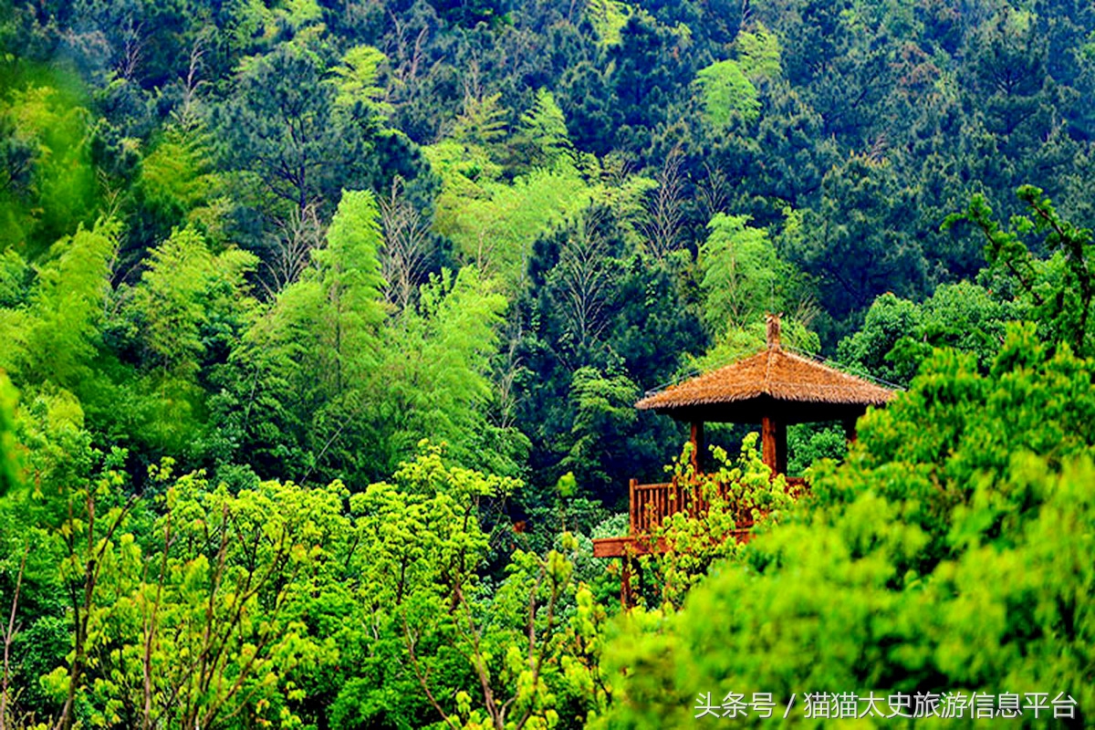 山庙系列｜穹窿山，不来怎知山的灵秀，江南第一观的雄伟！