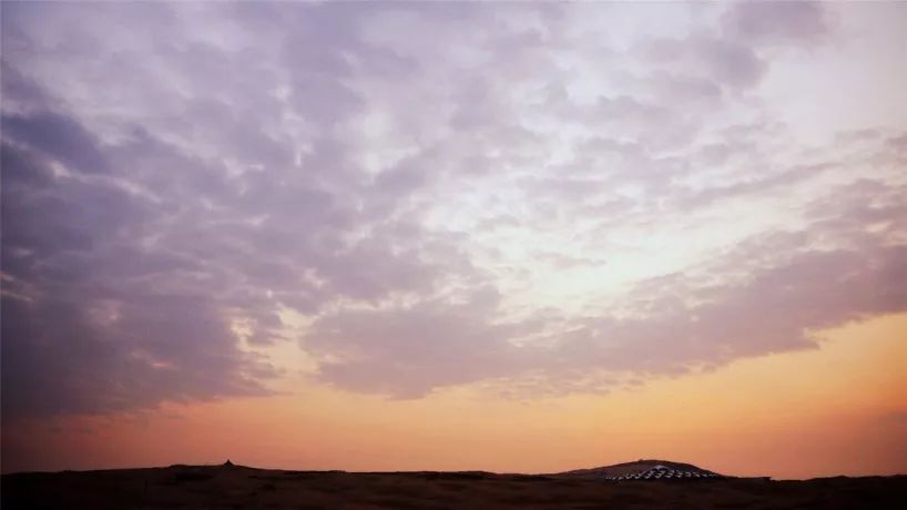 鑳藉湪娌欐紶鐪嬫槦绌虹殑閰掑簵,娌欐紶涓殑鑾茶姳閰掑簵