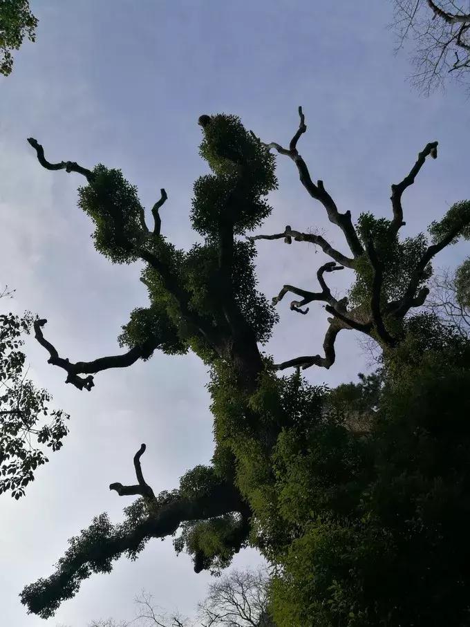 济州岛三日游最佳路线图,济州岛四天三晚游记