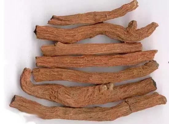 人参西洋参丹参沙参红参,丹参沙参玄参西洋参同用效果怎样