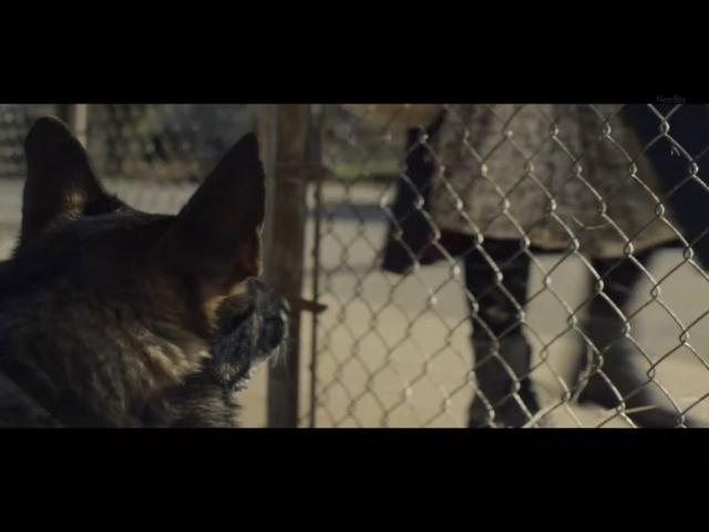 嘿嘿嘿被父母撞见？《黑镜》S4E2：最应该给父母看的一集美剧！