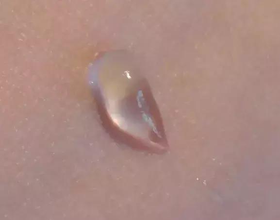 250元的ysl是正品吗,ysl哪个系列好用又便宜