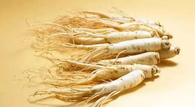 最新澳洲政策,澳籍华人最新政策