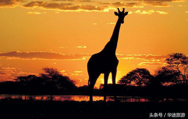 孤独星球1000种旅行体验,2020孤独星球旅游地排名