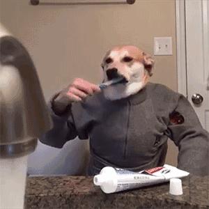 北服：“帝都裁缝魔法学院”的18岁，是乡土的