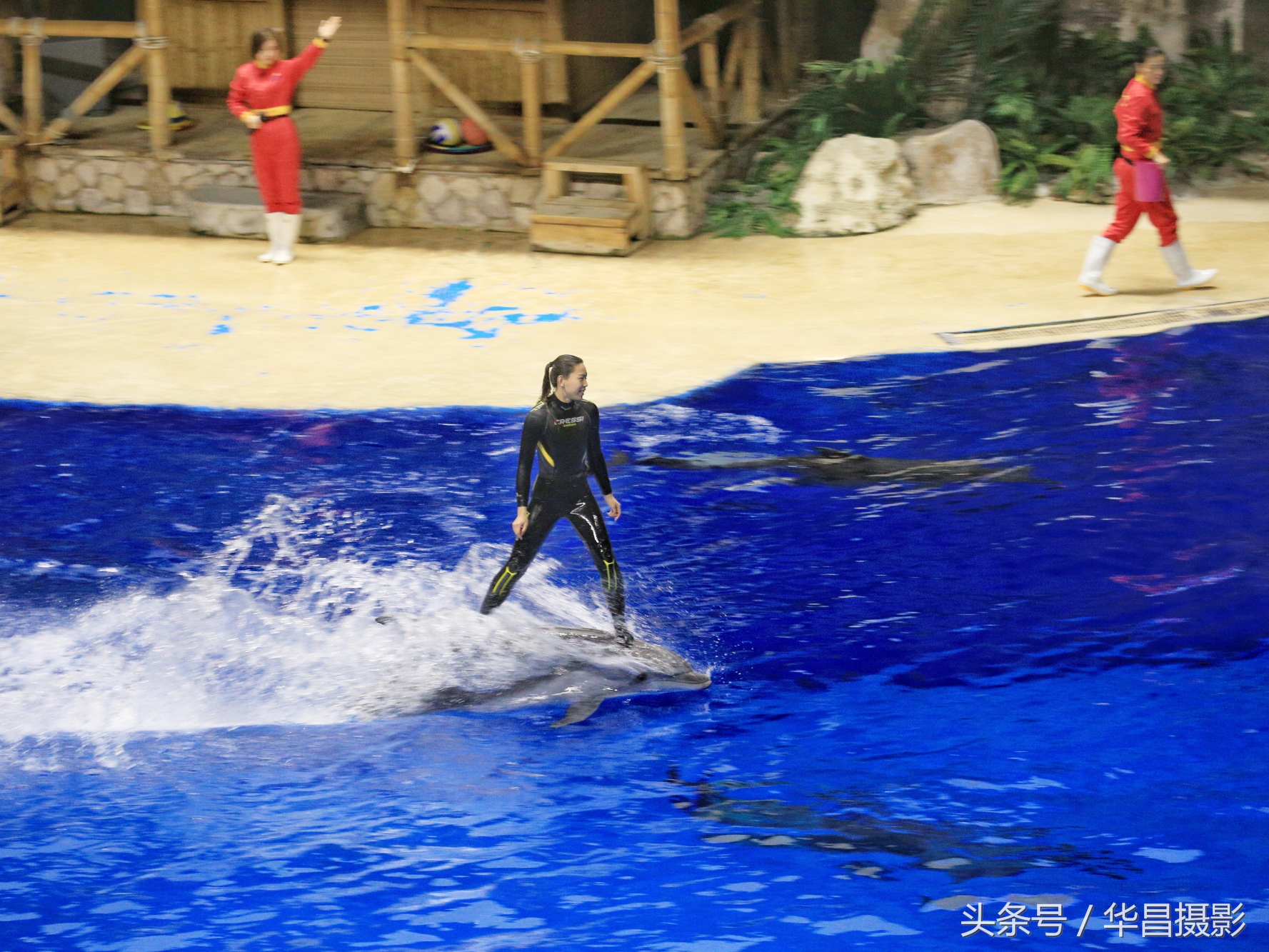 北京海洋馆海豚,北京海洋馆海豚表演时间表