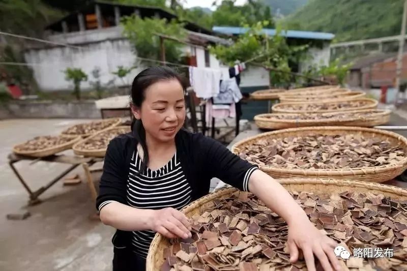 略阳县电商扶贫,略阳电商新天地
