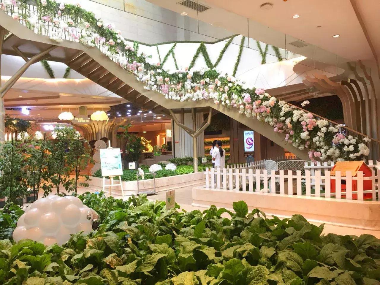 武汉名媛旅游攻略,武汉名媛图鉴大全