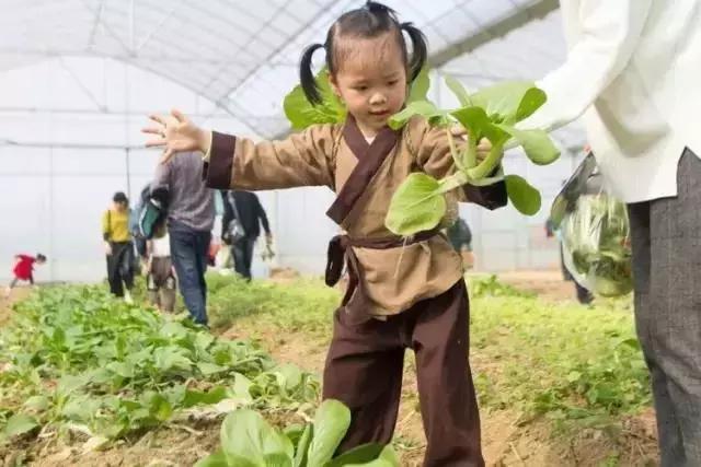 浙江采摘瓜果亲子游方案,金华采摘游最强攻略