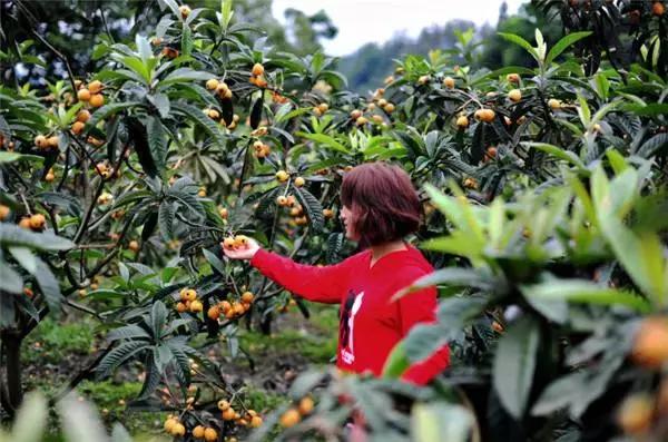 浙江采摘瓜果亲子游方案,金华采摘游最强攻略