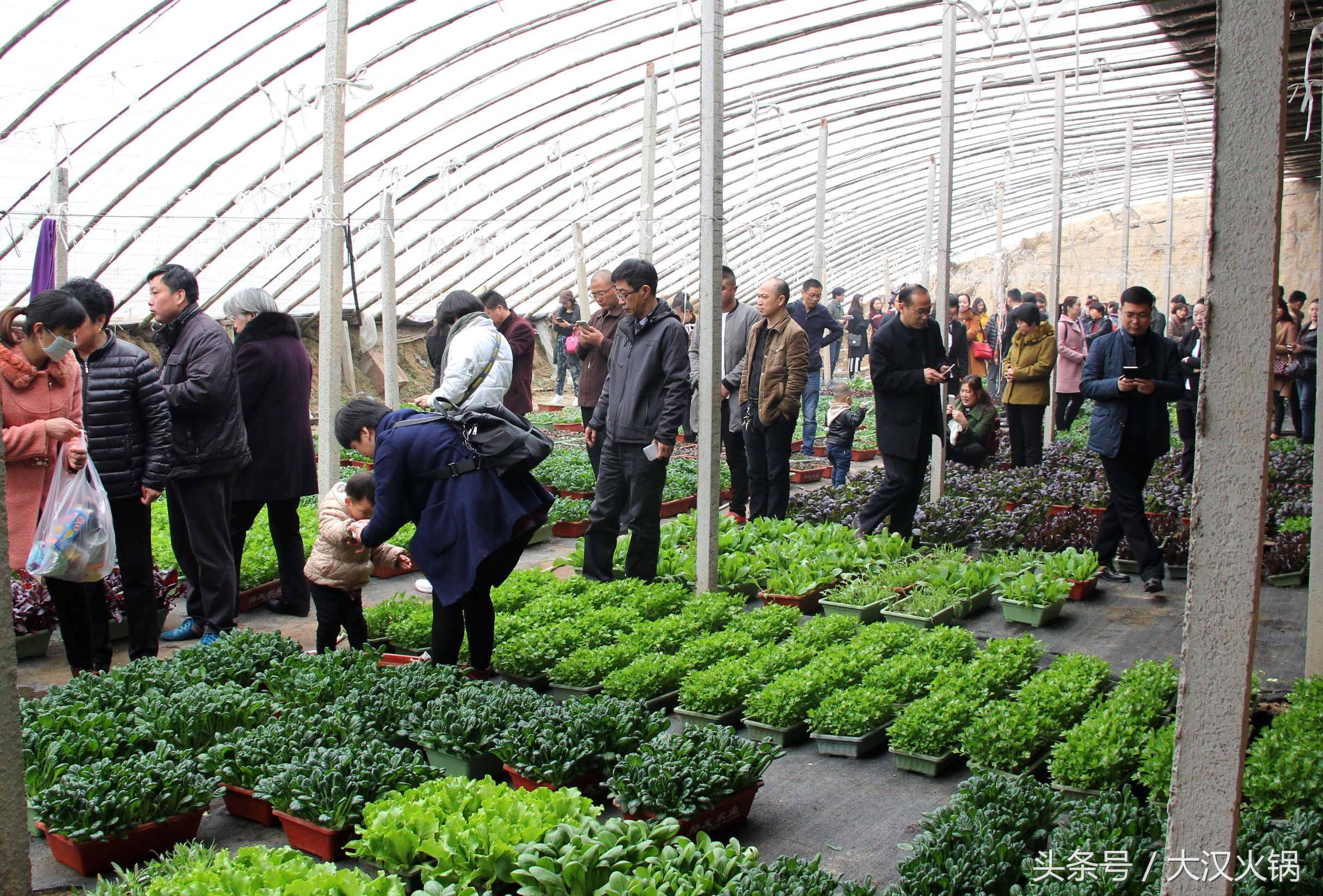 他在濮阳建了个34000平米的火锅基地，就为卖一份人均50元的火锅