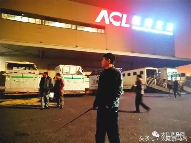 马业要闻,中国马业最受欢迎的俱乐部