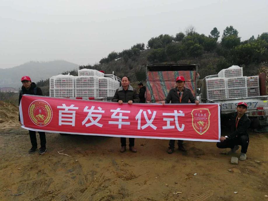 农村电商扶贫的路子,贫困农村电商扶贫