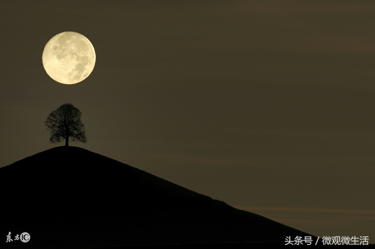 对于丑人细看是一种残忍怎么解读,钱钟书说丑人细看是一种残忍