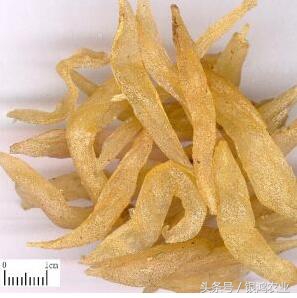 中药材市场行情变化无常,药材行情还会涨吗