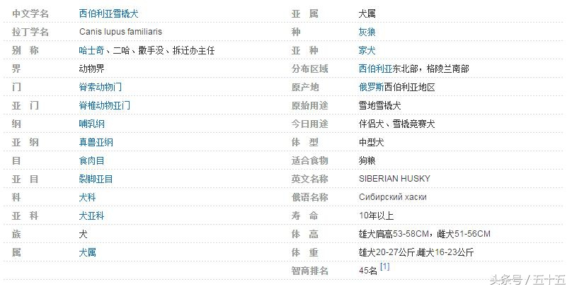 西伯利亚雪橇犬跟哈士奇的区别,哈士奇西伯利亚雪橇犬简称二哈