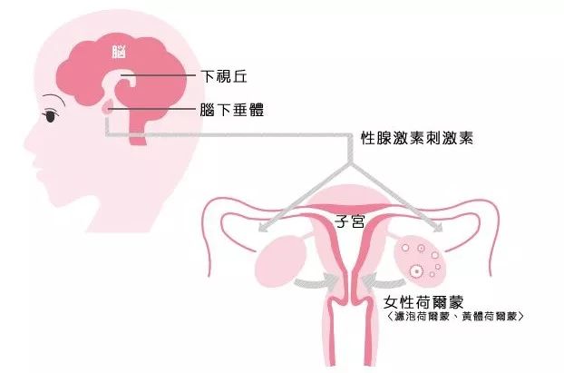 如何防治姨妈前长痘,怎么治疗姨妈痘