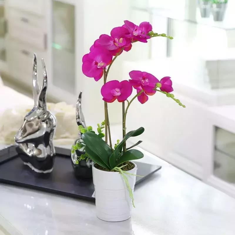 为什么兰花花苞会消苞呢,兰花春化中花苞停止生长