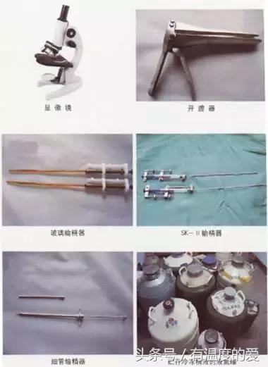 人工授精羊去哪里买,羊人工授精图文详解