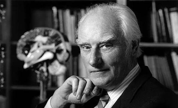 生命的左和右,生命的每一个方向