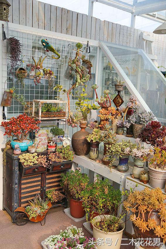 阳光房建设,怎样建造阳光房