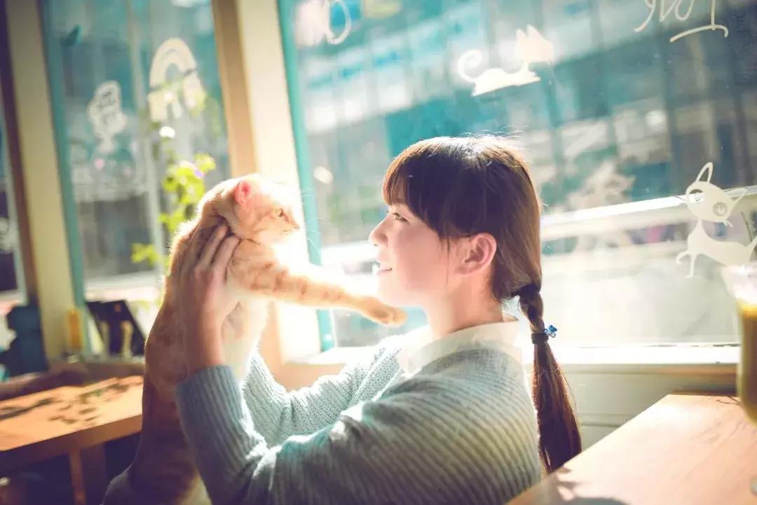 你今天养猫了吗,吸猫是怎么回事