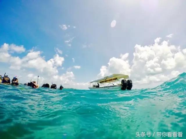 帕劳海底旅游图片,帕劳私人岛旅游推荐