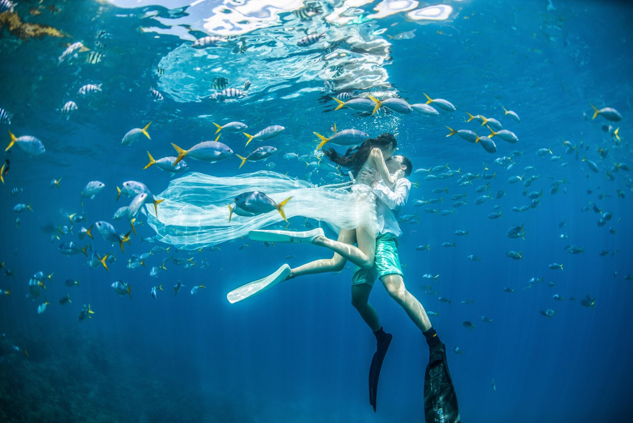 帕劳海底旅游图片,帕劳私人岛旅游推荐