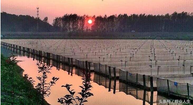 通过浙江温岭市农博筛网有限公司了解到填充塑料浮球的重要性