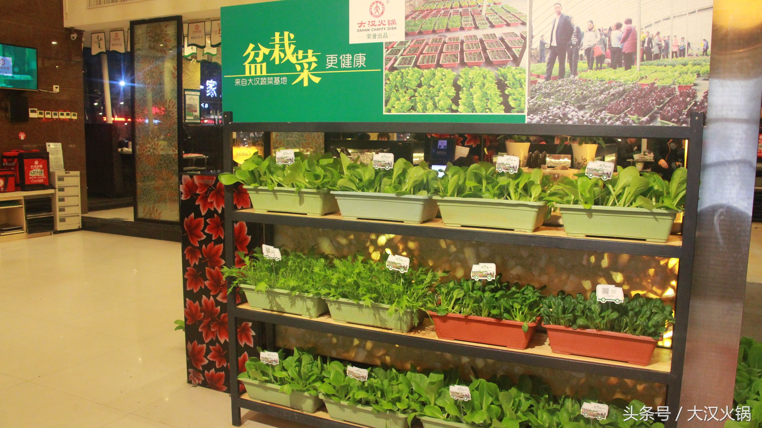 他在濮阳建了个34000平米的火锅基地，就为卖一份人均50元的火锅