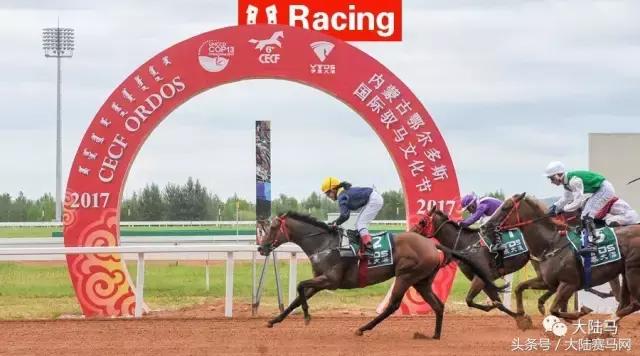 马业要闻,中国马业最受欢迎的俱乐部