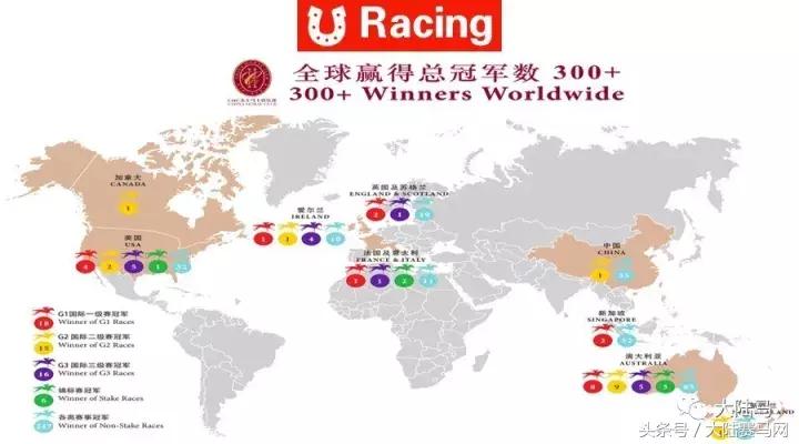 马业要闻,中国马业最受欢迎的俱乐部