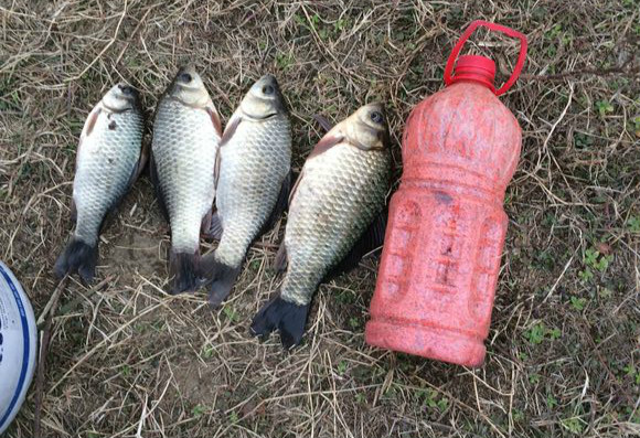 中药泡钓鱼药酒配方大全,泡制钓鱼中药酒用什么酒