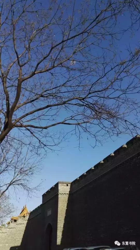 姑父和姑姑之间的亲情,姑父和侄子之间的亲情