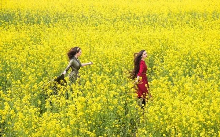 蔡甸，你凭什么这么牛？